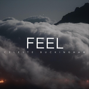 Artwork for FEEL