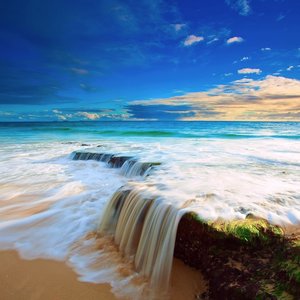 Ocean Beach Waves 的头像