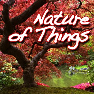 Nature of Things (Nature Sound)