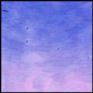 In My Dreams (I'm A Bird And I'm Free)