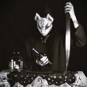 “Wizard's Cat”的封面