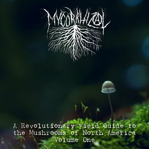 A Revolutionary Field Guide to the Mushrooms of North America : Volume One