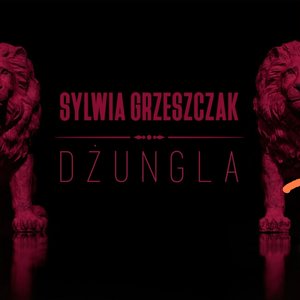 Dżungla