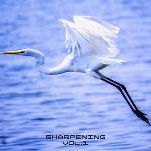 Sharpening, vol. 1