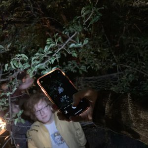 Painstar - Single