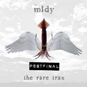 Pestfinal - The Rare Trax