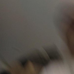 Lily Rage 的头像