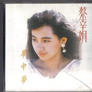 夢中夢