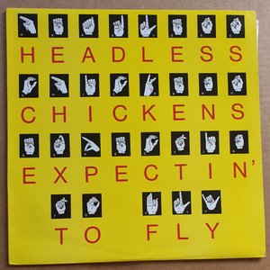 Expecting to Fly