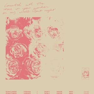 I Don't Know Why - Single