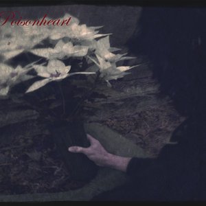 Dark In the Heart