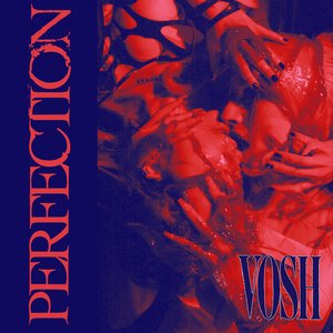 Perfection (Single Mix) - Single