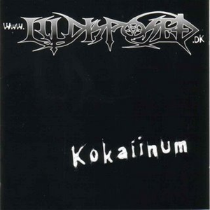 Kokaiinum cover