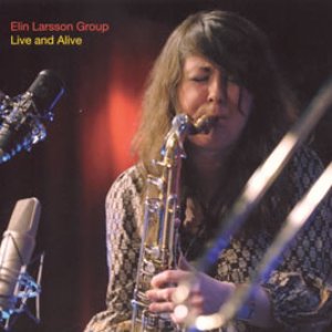 Image for 'Elin Larsson Group'