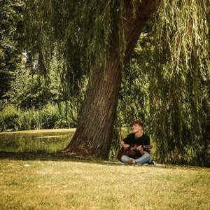 Willow Tree