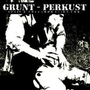 Grunt / Perkust のアバター