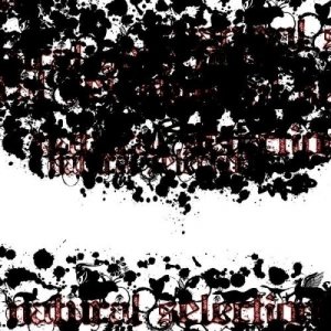 natural selection