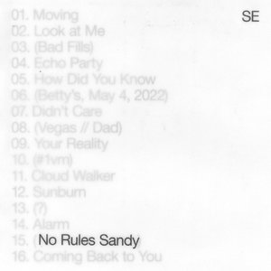 Bild für 'No Rules Sandy'