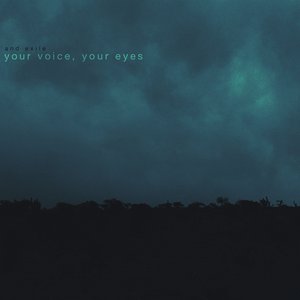 Your Voice, Your Eyes