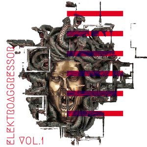 Elektroaggressor, Vol. 1