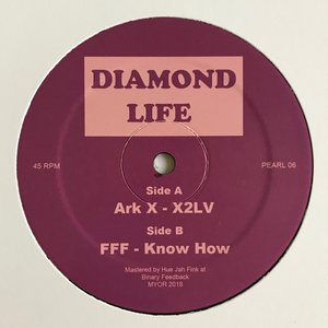 Ark X 的头像