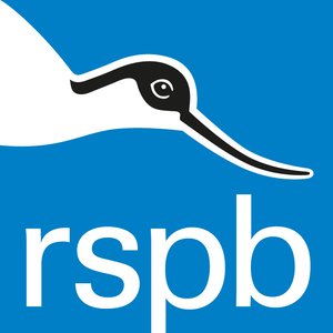 The RSPB のアバター