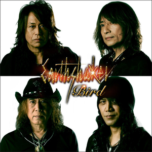 BIRD cover
