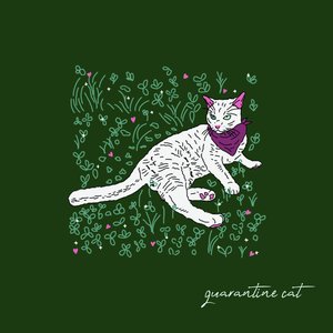 Quarantine Cat