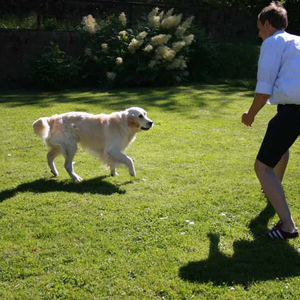 Celestial photo provided by Last.fm