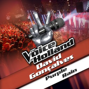 Purple Rain (From The Voice Of Holland)