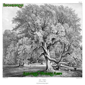 “Ash trees, Woburn Abbey”的封面