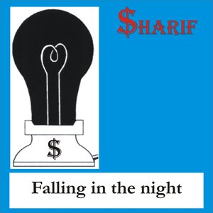 Falling in the Night