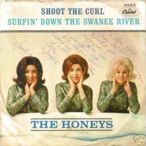 Surfin' Down the Swanee River / Shoot the Curl