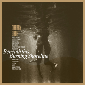 Beneath This Burning Shoreline cover