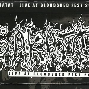 Live At Bloodshed Fest 2010