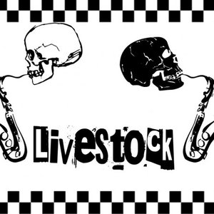 Live stock 的头像