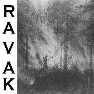 Ravak 的头像