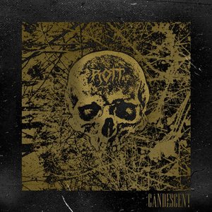 ROTT
