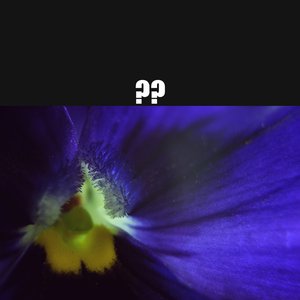 Eternal Violet