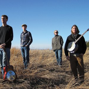 Brushfire Stankgrass 的头像