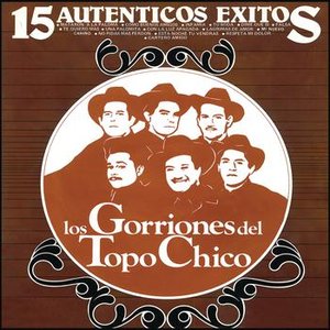 15 Auténticos Exitos de Los Gorriones Del Topo Chico