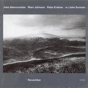 John Abercrombie, Marc Johnson, Peter Erskine, John Surman 的头像