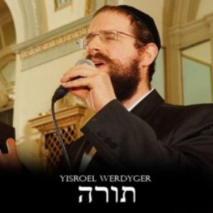 Avatar for Yisroel Werdyger
