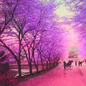 Cherry Street
