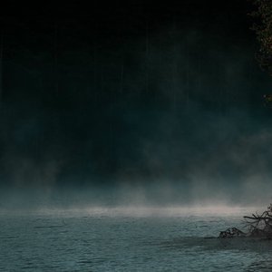 The Stillness (Slowed)