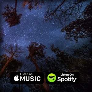 The Abyss - Single