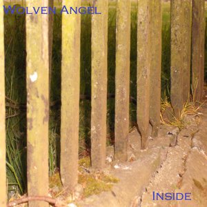Wolven Angel 的头像