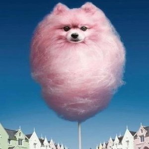 CANDYFLOSS