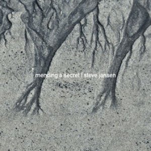 Mending a Secret