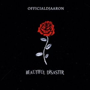 beautiful disaster [Explicit]